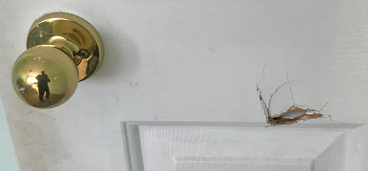 interior door hole repair Santa Cruz