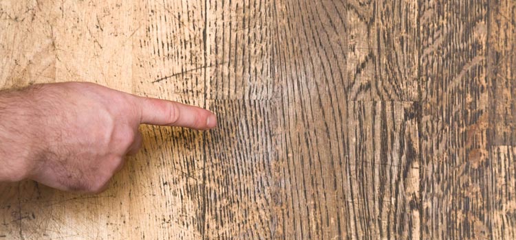 Wood Door Scratch Repair in Santa Cruz